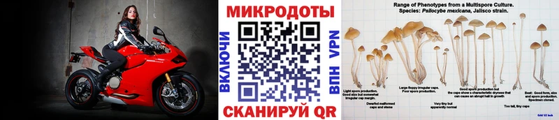 Псилоцибиновые грибы GOLDEN TEACHER где найти Новоалтайск