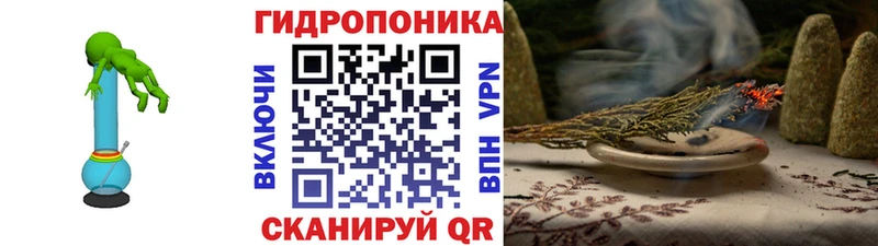 блэк спрут ONION  наркотики  Новоалтайск  Бошки Шишки THC 21% 